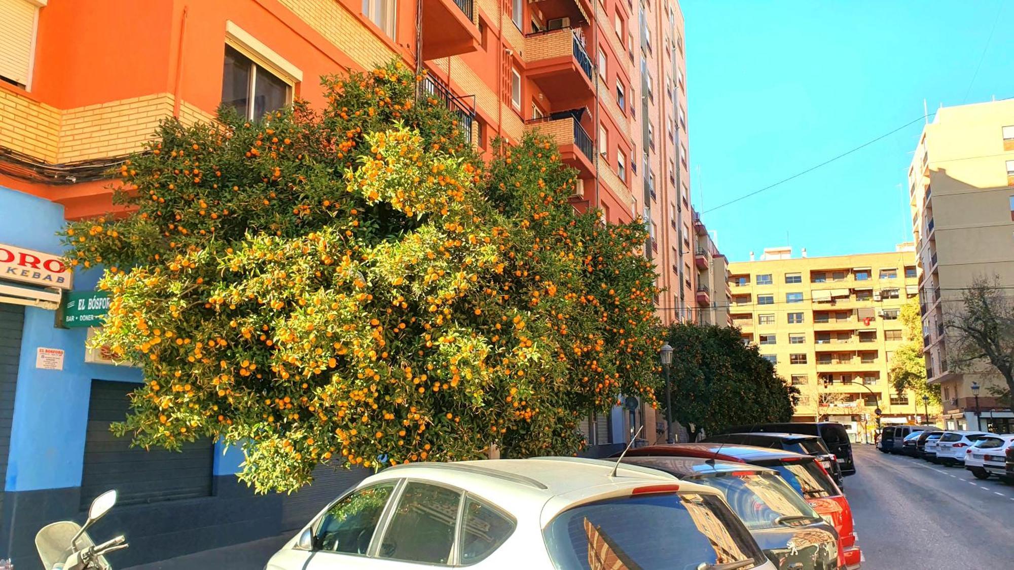 Nuevo Apartamentos Costa Del Alma 瓦伦西亚 外观 照片