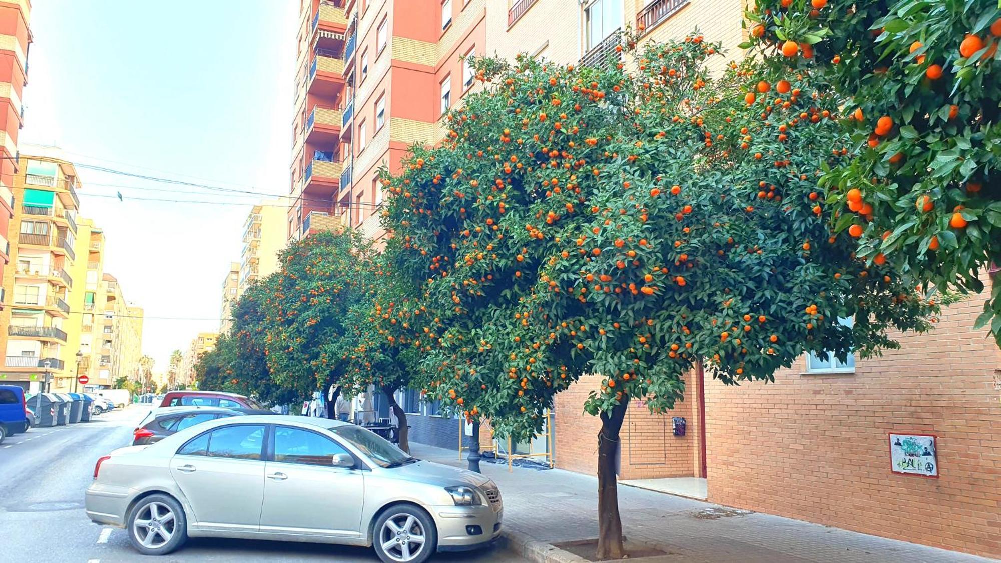 Nuevo Apartamentos Costa Del Alma 瓦伦西亚 外观 照片